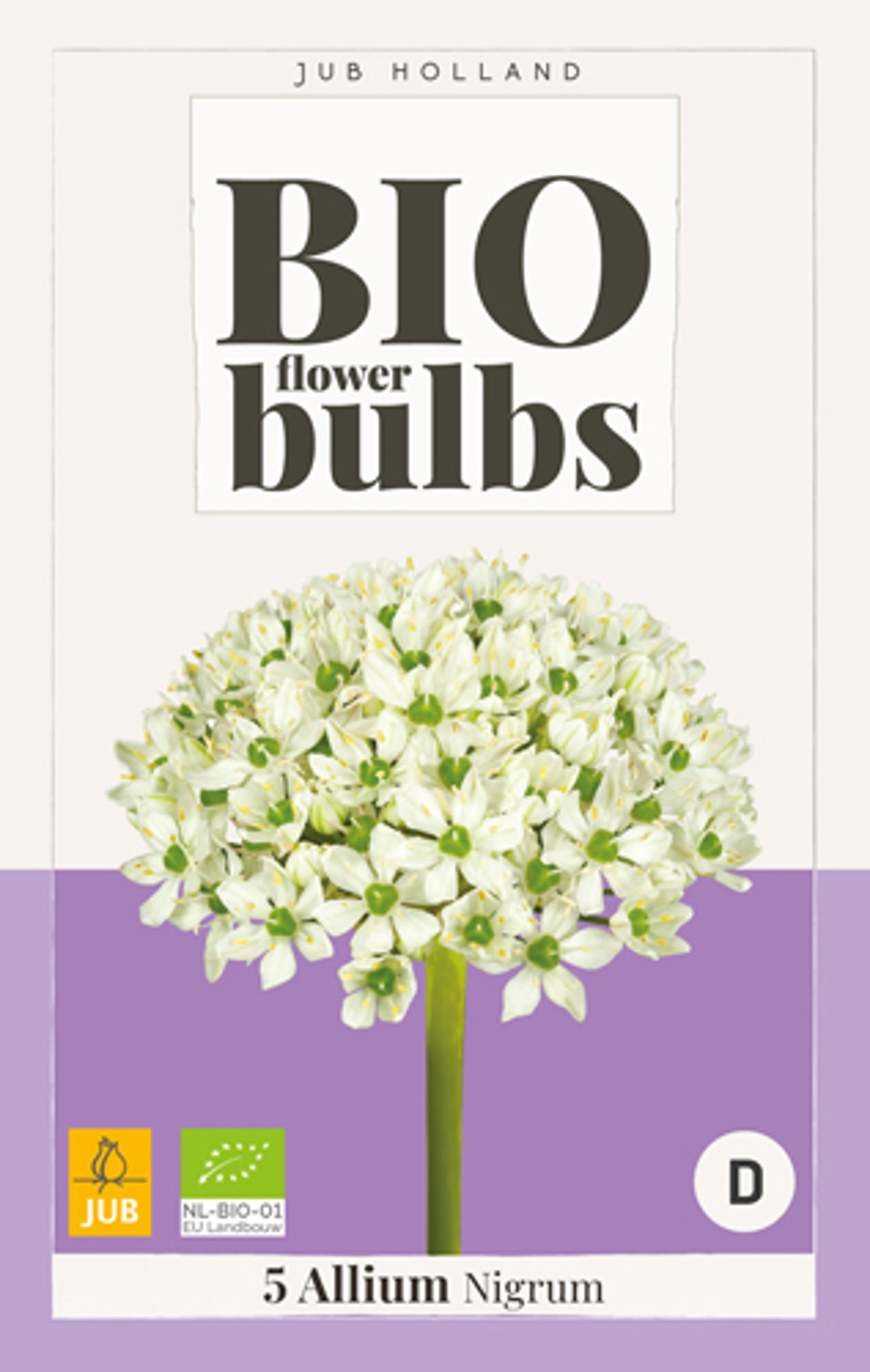 Allium nigrum - bio - JUB