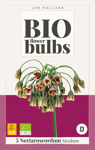 Allium nectaroscorum siculum bio JUB