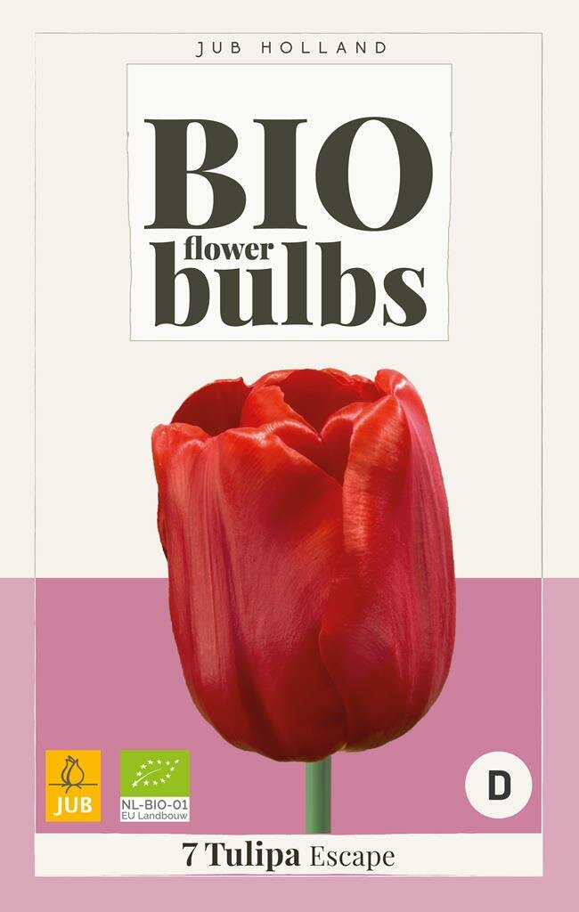 Tulipa escape - bio - JUB