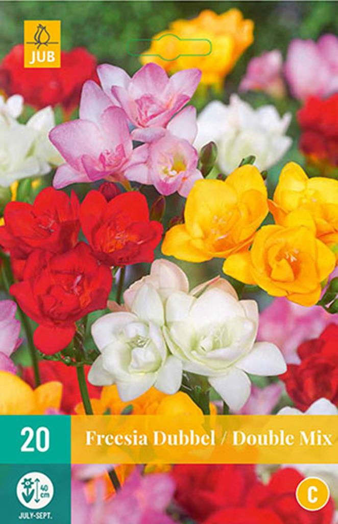 Freesia dubbel mix - JUB