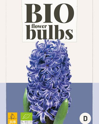 Hyacinthus blue pearl - bio - JUB