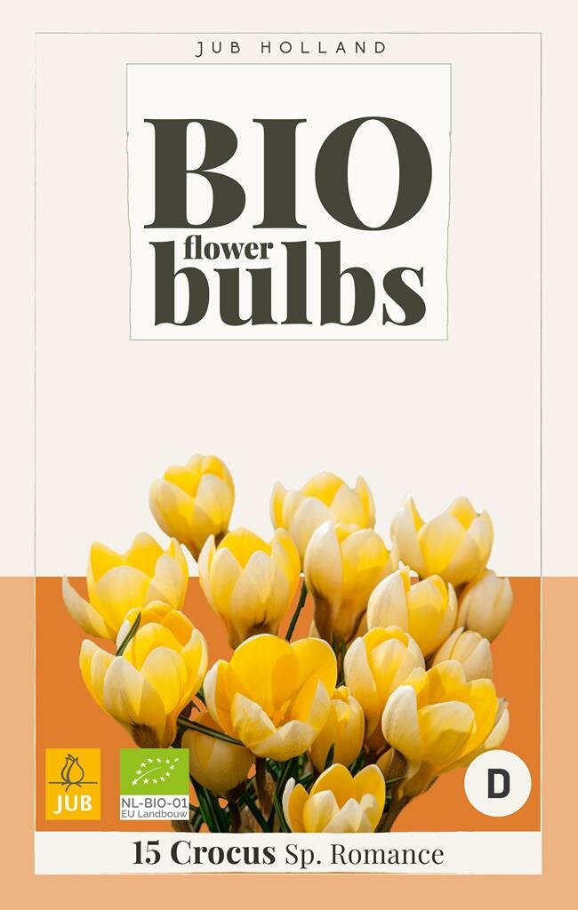 Crocus sp. romance bio - JUB