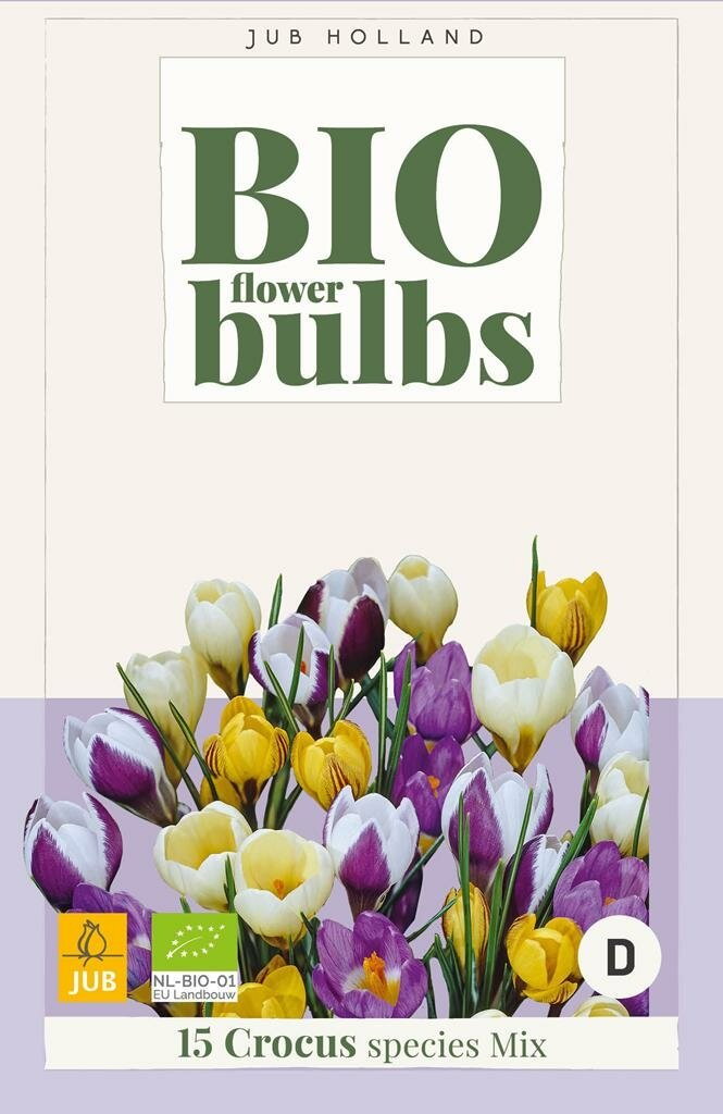 Crocus sp. mix 15st JUB - Jub