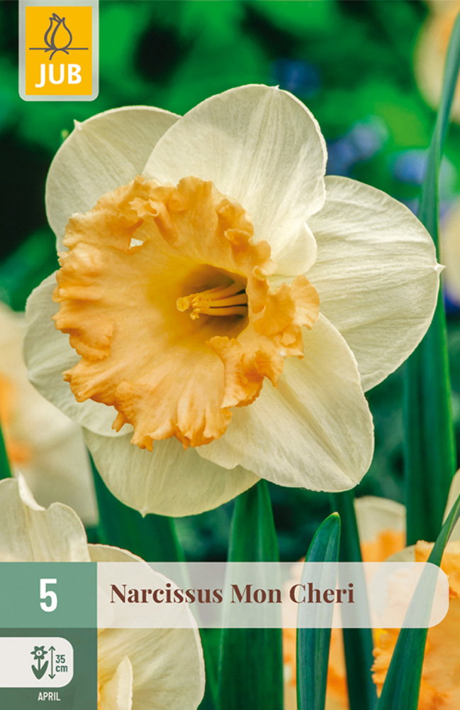 Narcissus mon cheri bloembol JUB 5 stuks - Jub