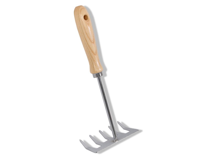 https://cdn.warentuin.nl/media/catalog/product/S/C/SCAN8712448070744_01_talentools_handharkje_5_tands_talen_tools_7330.jpg