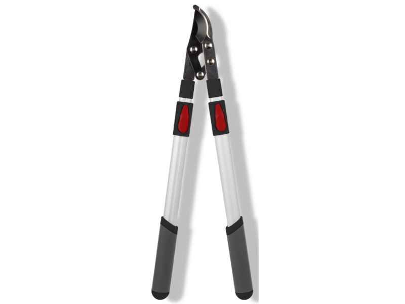 https://cdn.warentuin.nl/media/catalog/product/S/C/SCAN8712448436526_01_talentools_takkenschaar_voorbijsnijdend_tele_40b8.jpg