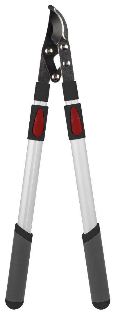 https://cdn.warentuin.nl/media/catalog/product/S/C/SCAN8712448436526_talentools_takkenschaar_takkenschaar_voorbijsnijdend_telescop_704d.jpg