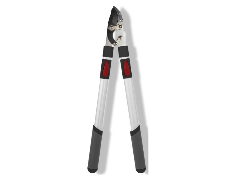 https://cdn.warentuin.nl/media/catalog/product/S/C/SCAN8712448436533_01_talentools_takkenschaar_aambeeld_telescopisc_94fe.jpg