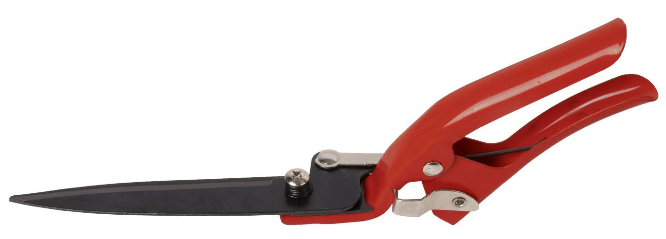 Talen Tools - Graskantschaar - Vast - 31 cm - Budget