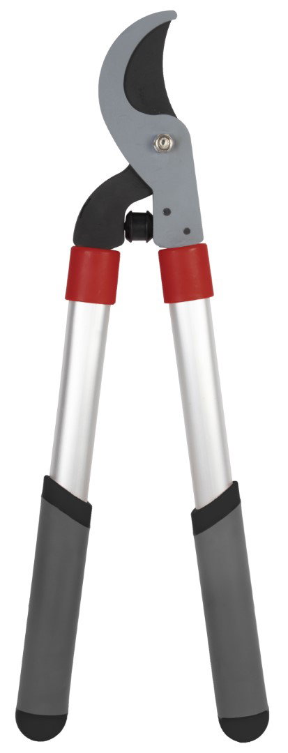 https://cdn.warentuin.nl/media/catalog/product/S/C/SCAN8712448436748_talentools_takkenschaar_takkenschaar_voorbijsnijdend_premium__083f.jpg