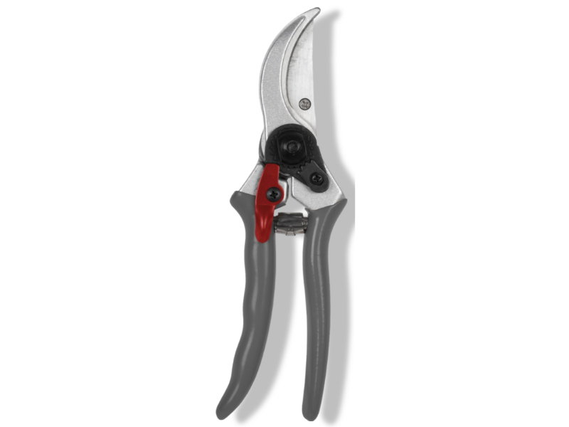https://cdn.warentuin.nl/media/catalog/product/S/C/SCAN8712448436786_01_talentools_snoeischaar_voorbijsnijdend_premi_de04.jpg