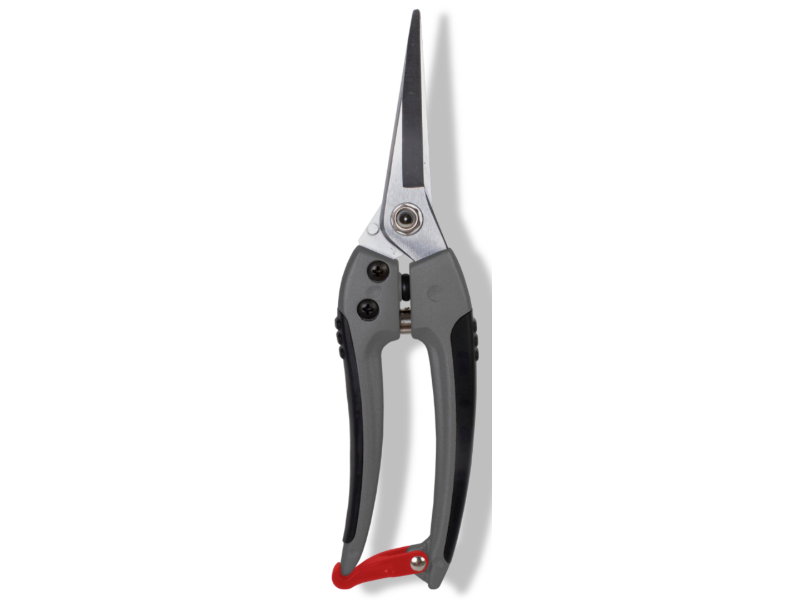 https://cdn.warentuin.nl/media/catalog/product/S/C/SCAN8712448436809_01_talentools_bloemenschaar_blank_geslepen_prem_7180.jpg
