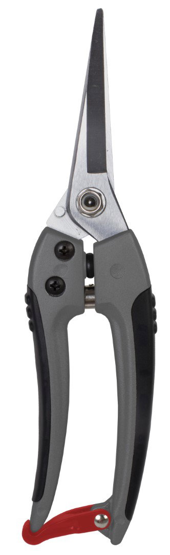https://cdn.warentuin.nl/media/catalog/product/S/C/SCAN8712448436809_talentools_bloemenschaar_bloemenschaar_blank_geslepen_premium_661a.jpg