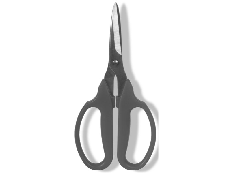https://cdn.warentuin.nl/media/catalog/product/S/C/SCAN8712448436816_01_talentools_multifuntionele_schaar_premium_19_80ec.jpg