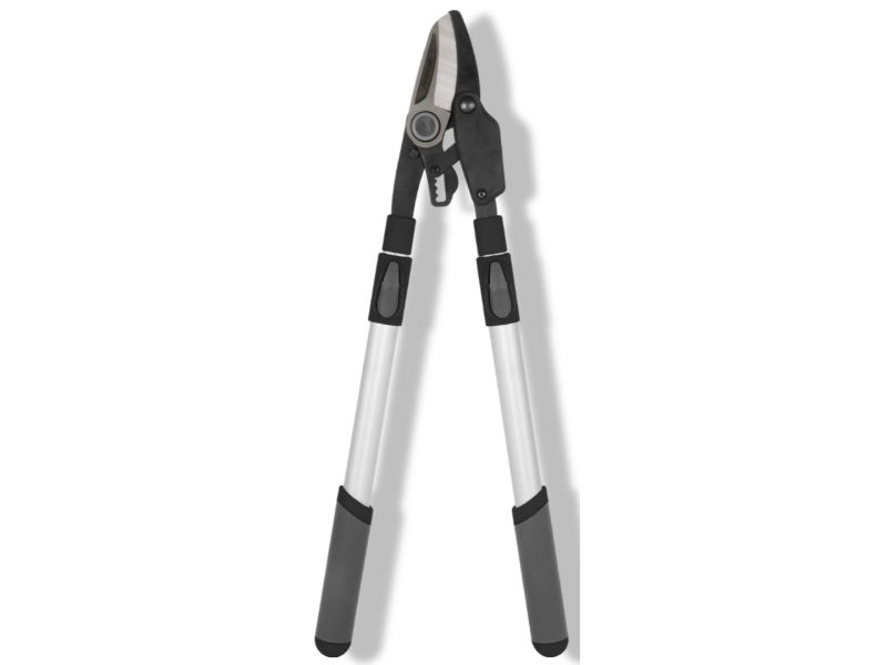 https://cdn.warentuin.nl/media/catalog/product/S/C/SCAN8712448436854_01_talentools_takkenschaar_5_traps_power_telesc_e45d.jpg