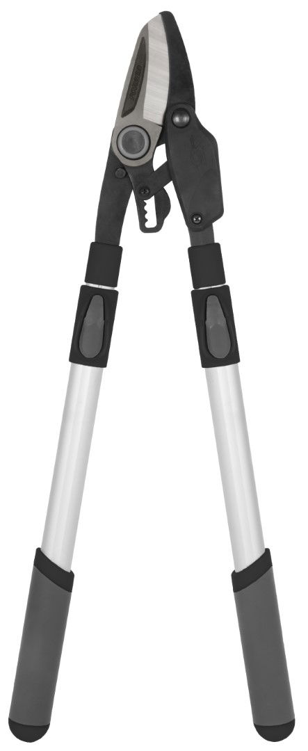 https://cdn.warentuin.nl/media/catalog/product/S/C/SCAN8712448436854_talentools_takkenschaar_takkenschaar_5_traps_power_telescopis_5c06.jpg
