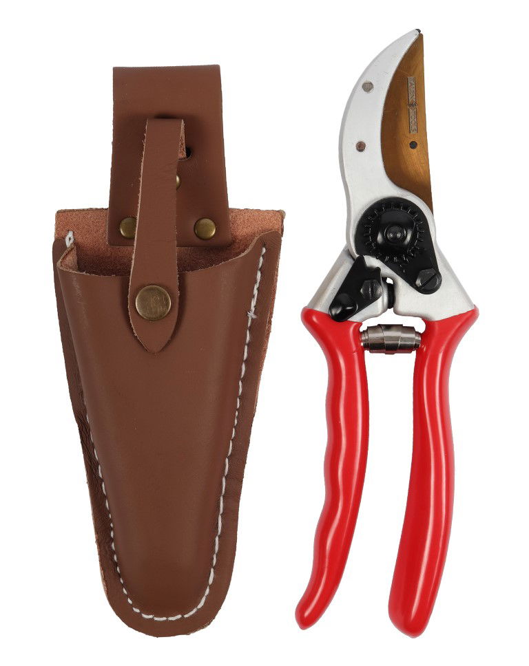 Talentools Snoeischaar titanium voorbijsnijdend met lederen holster 21 cm - 