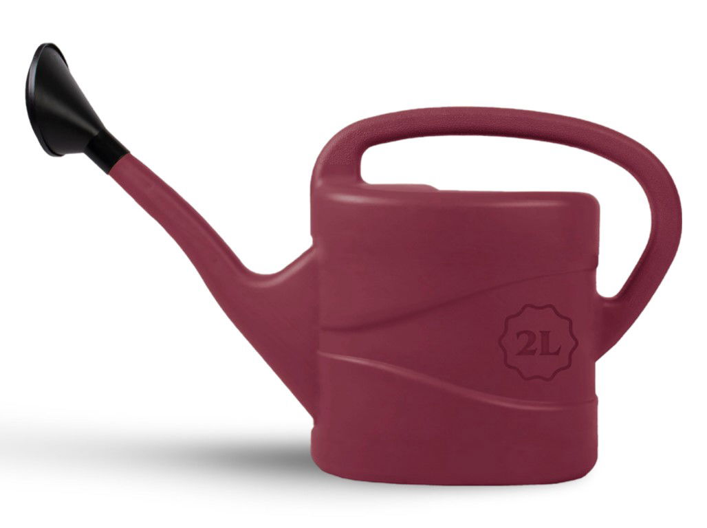 https://cdn.warentuin.nl/media/catalog/product/S/C/SCAN8712448439282_01_gieter_kunststof_met_broes_wijnrood_2_liter_talen_tools_923e.jpg