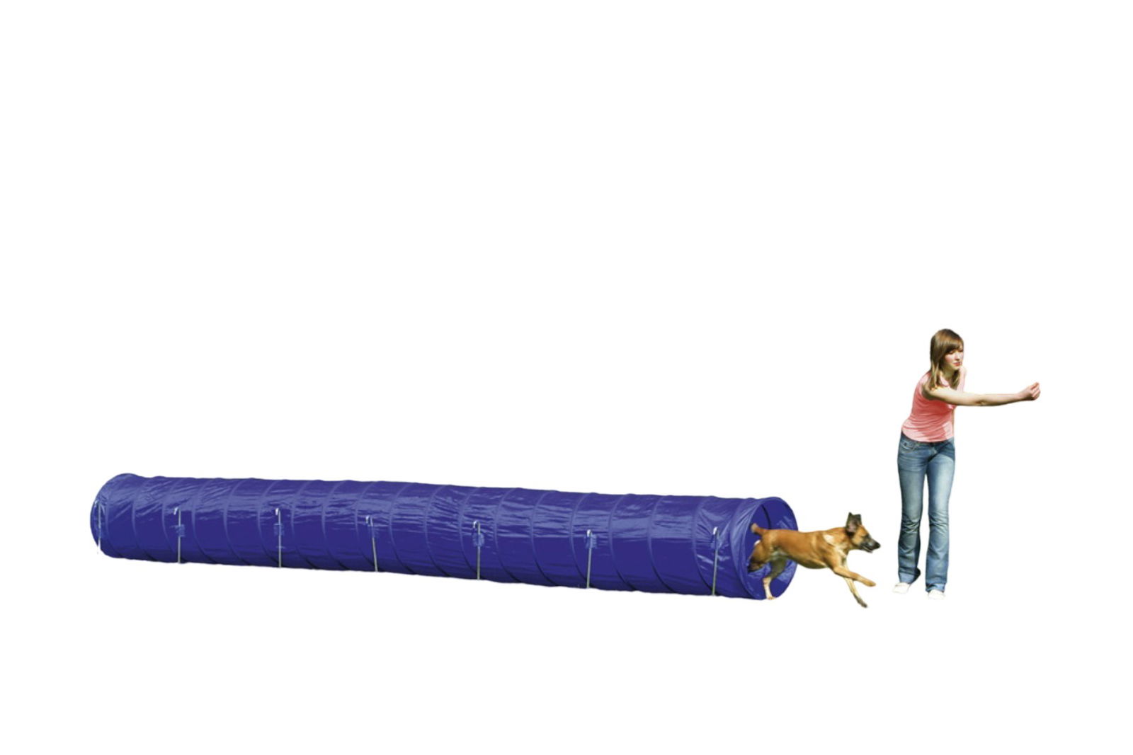 Agility tunnel large 525x60x60 - Beeztees