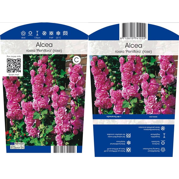 https://cdn.warentuin.nl/media/catalog/product/S/C/SCAN8712815741222_alcea_rosea_pleniflora_rose_vaste_plant_griffioen_429c.jpg