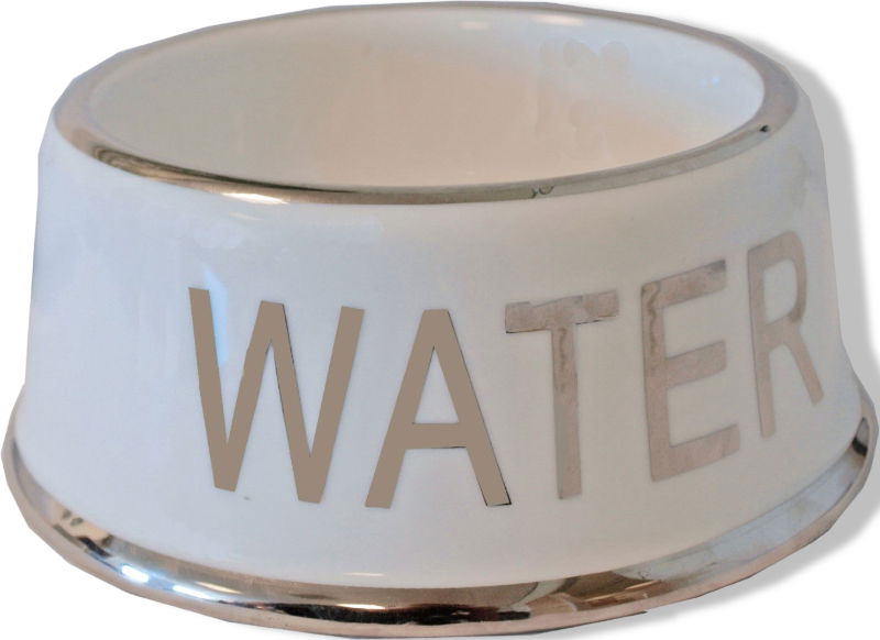 https://cdn.warentuin.nl/media/catalog/product/S/C/SCAN8712901052805_01_gebr_de_boon_hondenwaterbak_wit_zilver_water_e290.jpg