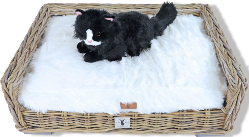 https://cdn.warentuin.nl/media/catalog/product/S/C/SCAN8712901064808_01_gebr_de_boon_boony_est_1941_ligkussen_polar__2c29.jpg