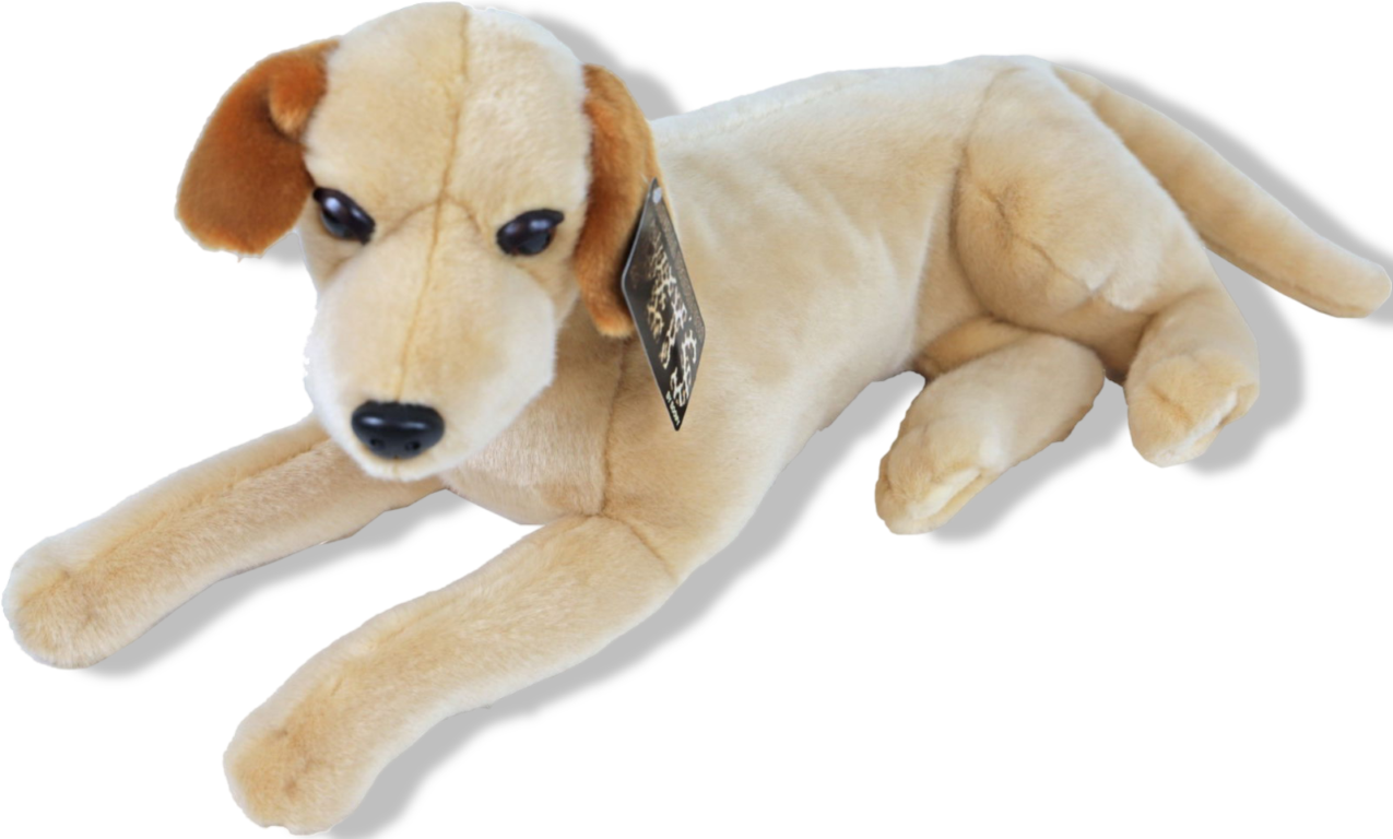 https://cdn.warentuin.nl/media/catalog/product/S/C/SCAN8712901069223_01_gebr_de_boon_boony_natural_decoration_pluche_4aa5.png