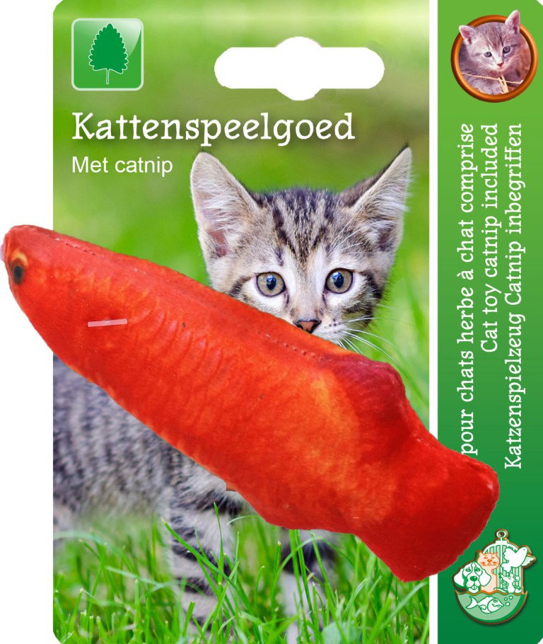 https://cdn.warentuin.nl/media/catalog/product/S/C/SCAN8712901073220_gebr_de_boon_kattenspeelgoed_boon_kattenspeelgoed_vis_plus_ca_76f0.jpg