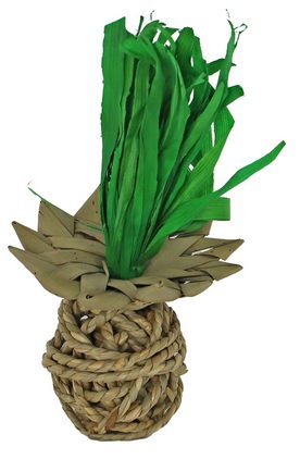 https://cdn.warentuin.nl/media/catalog/product/S/C/SCAN8712901087395_knaag_ananas_zeegras_20cm_gebr_de_boon_46ca.jpg
