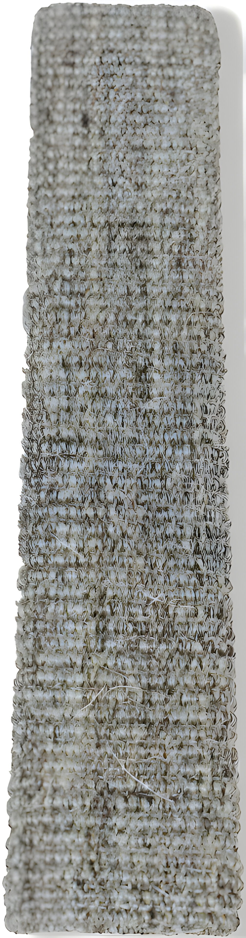 https://cdn.warentuin.nl/media/catalog/product/S/C/SCAN8712901262297_01_gebr_de_boon_krabplank_jabo_met_sisal_en_cat_0ff6.jpg