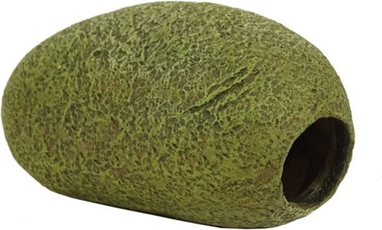 https://cdn.warentuin.nl/media/catalog/product/S/C/SCAN8713179402606_blue_belle_pacific_stone_cave_1_11_4x8_6x6_8428.jpg
