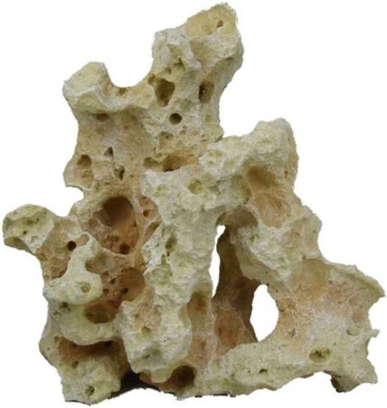 https://cdn.warentuin.nl/media/catalog/product/S/C/SCAN8713179405546_blue_belle_pacific_asian_stone_1_29x17x29__86e7.jpg