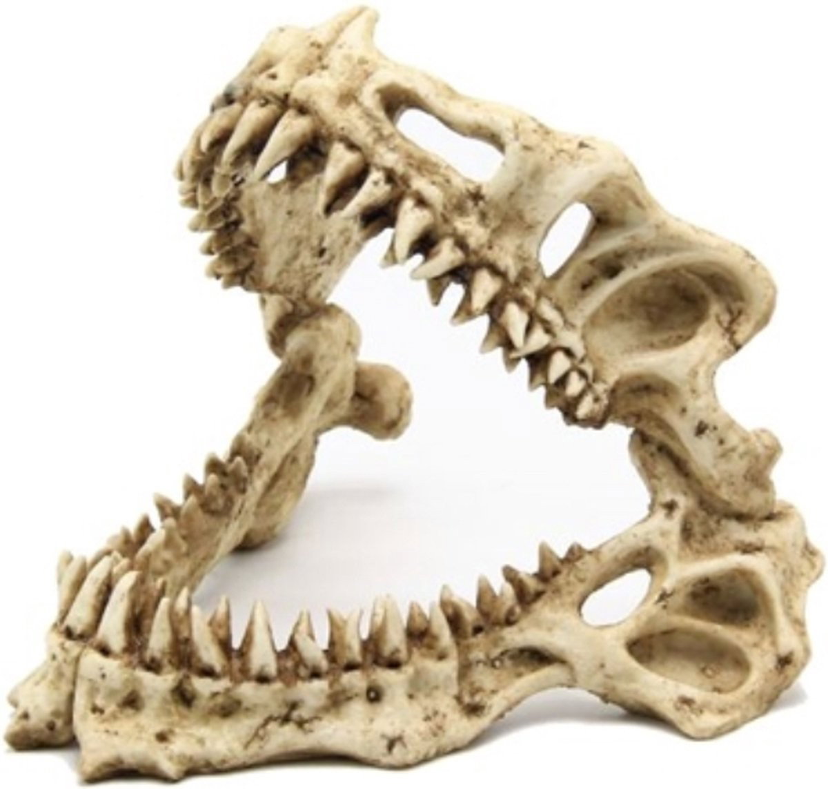 https://cdn.warentuin.nl/media/catalog/product/S/C/SCAN8713179406307_blue_belle_pacific_shark_skull_19x17x15_cm_465a.jpg