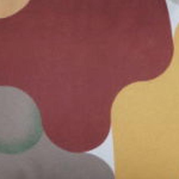 https://cdn.warentuin.nl/media/catalog/product/S/C/SCAN8713229021030_01_sierkussen_ca_30x50_cm_grafi_bordo_4_stuks_madison_cccb.jpg