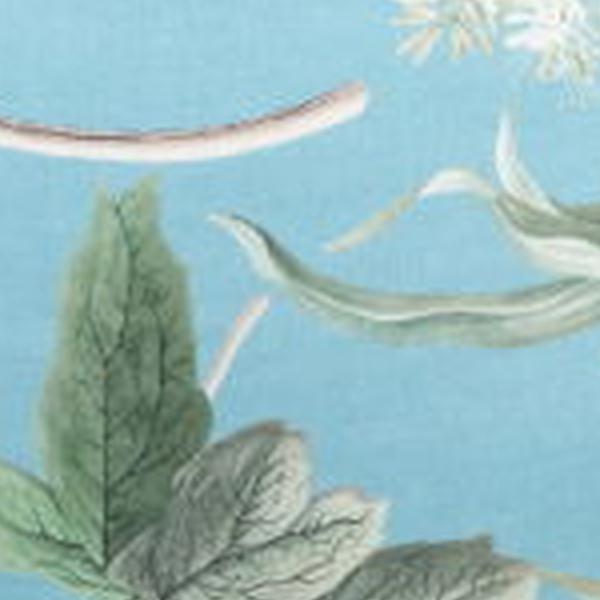 https://cdn.warentuin.nl/media/catalog/product/S/C/SCAN8713229021474_01_sierkussen_ca_50x50_cm_grasse_aqua_natural_outdoor_finishi_013b.jpg