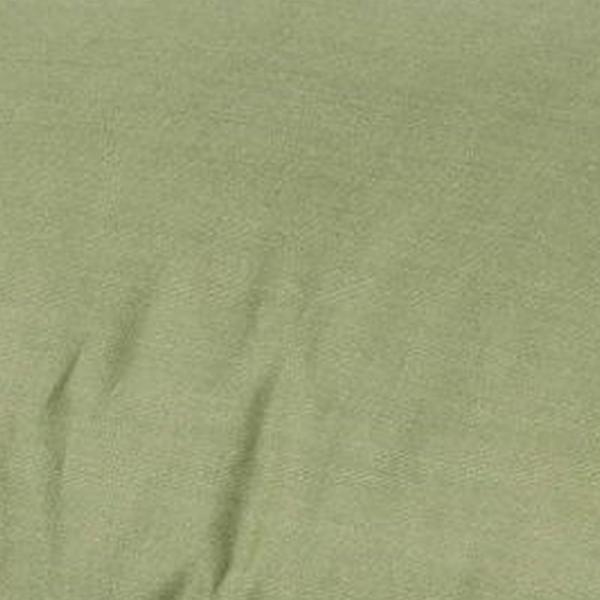 https://cdn.warentuin.nl/media/catalog/product/S/C/SCAN8713229026301_01_kussen_lounge_rug_soft_60x40_basic_groen_2_stuks_madison_d655.jpg