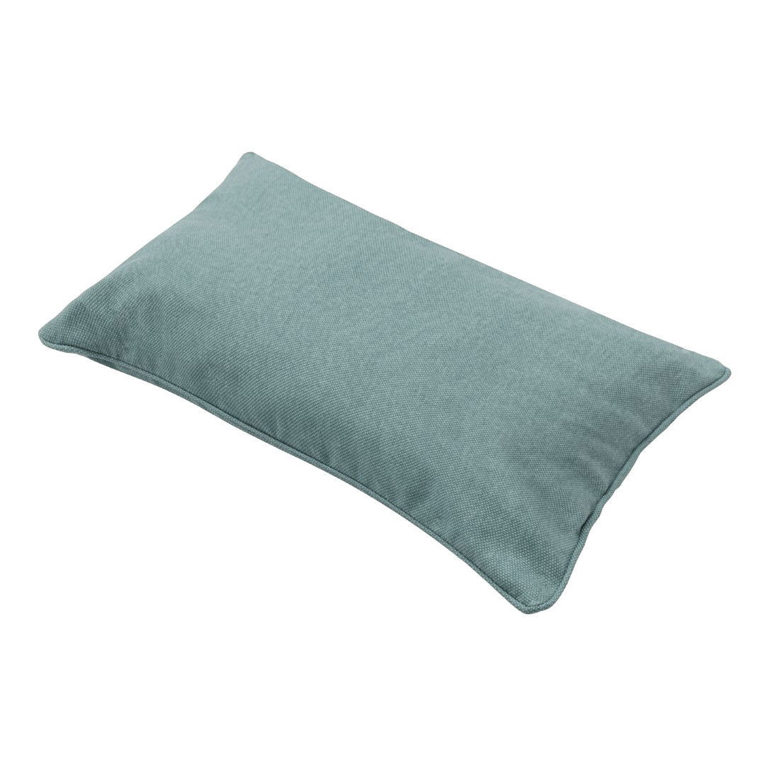 https://cdn.warentuin.nl/media/catalog/product/S/C/SCAN8713229029920_sierkussen_50x30_zilver_eco_natuur_buitenafwerking_4_stuks_ma_defd.jpg
