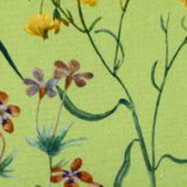 https://cdn.warentuin.nl/media/catalog/product/S/C/SCAN8713229029999_01_sierkussen_ca_30x50_cm_milly_green_natural_outdoor_finishi_57ff.jpg