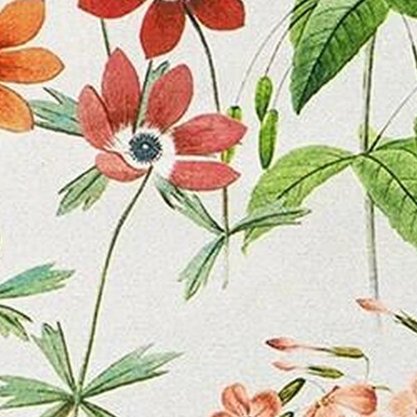 https://cdn.warentuin.nl/media/catalog/product/S/C/SCAN8713229030421_01_sierkussen_50x50_cm_milly_natural_4_stuks_madison_3eb5.jpg