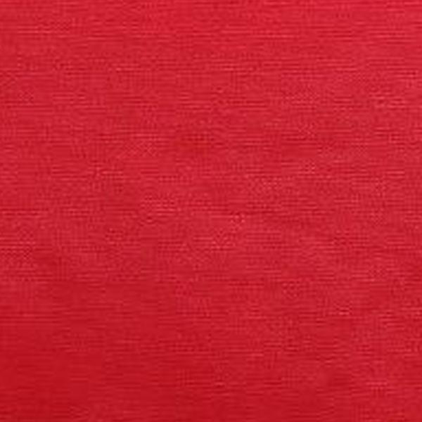 https://cdn.warentuin.nl/media/catalog/product/S/C/SCAN8713229031046_01_sierkussen_met_bies_panama_rood_60_cm_x_40_cm_4_stuks_madi_edb0.jpg