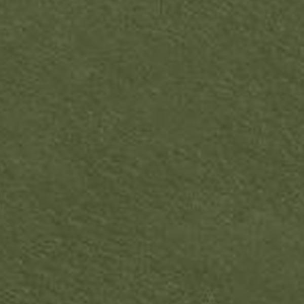 https://cdn.warentuin.nl/media/catalog/product/S/C/SCAN8713229032333_01_modern_dining_kussen_ca_40x40_cm_panama_green_4_stuks_madi_f0f8.jpg