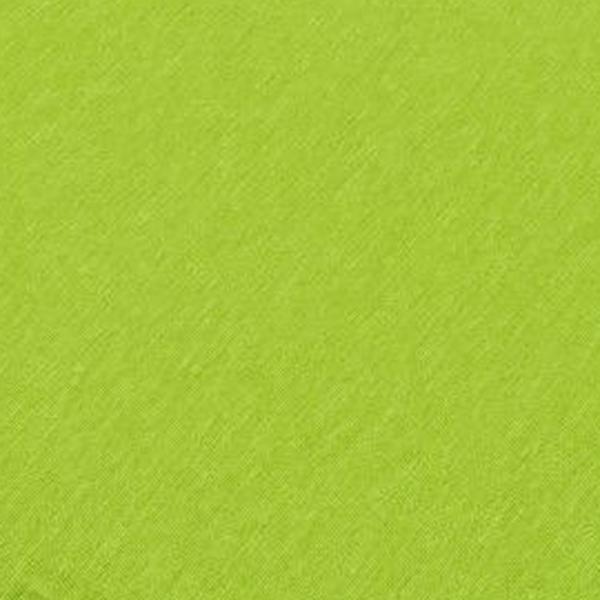 https://cdn.warentuin.nl/media/catalog/product/S/C/SCAN8713229034597_01_zitje_universeel_40x40x5_met_rits_panama_lime_4_stuks_madi_b216.jpg
