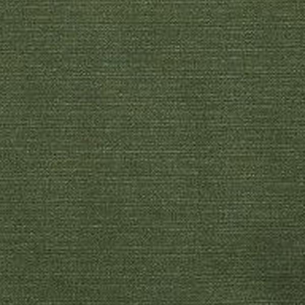 https://cdn.warentuin.nl/media/catalog/product/S/C/SCAN8713229035013_01_zitkussen_panama_groen_46_cm_x_48_cm_4_stuks_madison_f18c.jpg