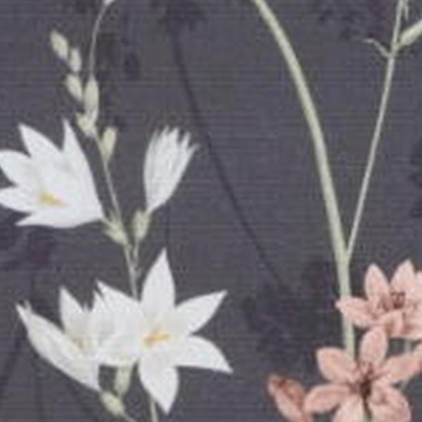 https://cdn.warentuin.nl/media/catalog/product/S/C/SCAN8713229035525_01_luxe_zitkussen_ca_40x40_cm_donna_grey_canvas_eco_plus_natu_40b0.jpg
