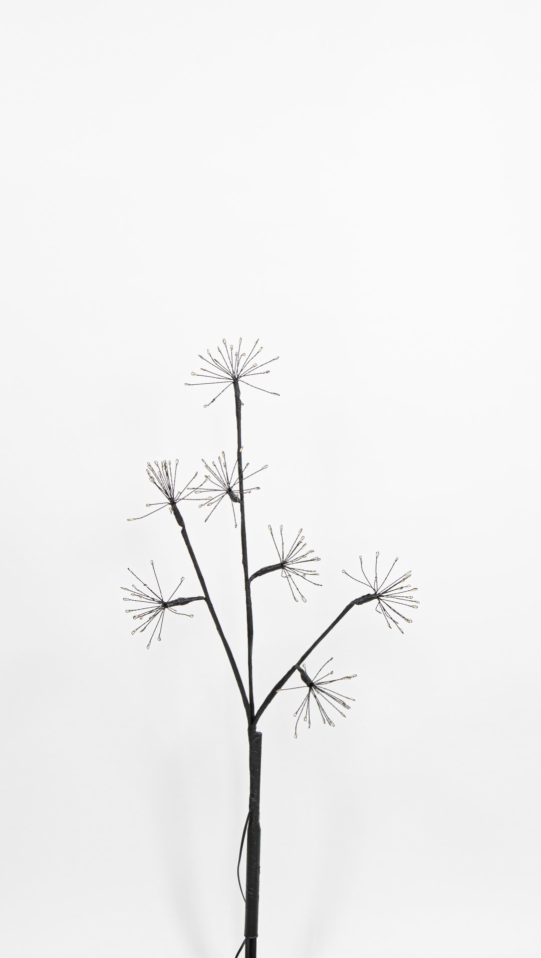 https://cdn.warentuin.nl/media/catalog/product/S/C/SCAN8713619419874_coen_bakker_deco_kerstverlichting_led_firework_branch_60_cm_e_4777.jpg
