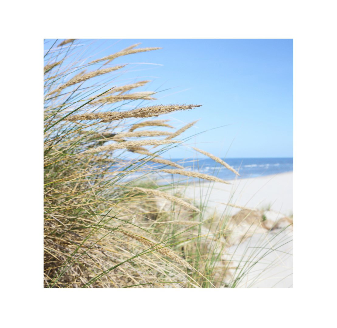 https://cdn.warentuin.nl/media/catalog/product/S/C/SCAN8713619422010_annas_collection_canvas_buiten_canvas_58_x_58_c_e558.jpg