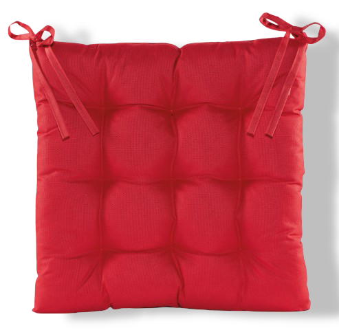https://cdn.warentuin.nl/media/catalog/product/S/C/SCAN8713619423185_01_stoelkussen_gewatteerd_38x38cm_rood_anna_s_collection_3aed.png
