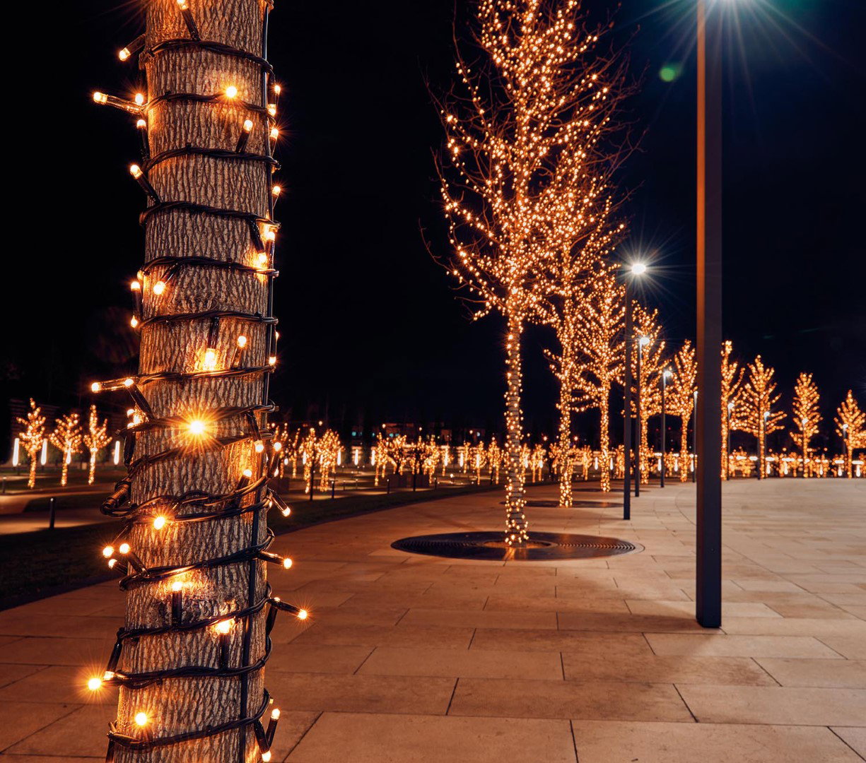 https://cdn.warentuin.nl/media/catalog/product/S/C/SCAN8713619424076annas_collection_kerstverlichting_connect_d_83cc.jpg