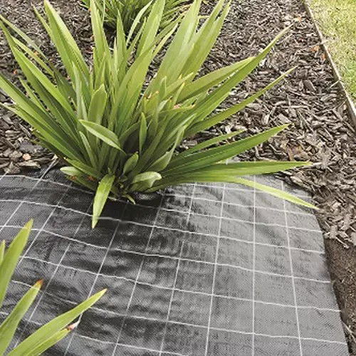 https://cdn.warentuin.nl/media/catalog/product/S/C/SCAN8713981702000_01_antiworteldoek_2_mtr_breed_meuwissen_agro_9ea7.jpg