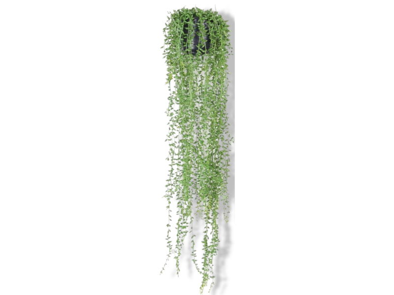 https://cdn.warentuin.nl/media/catalog/product/S/C/SCAN8714344022018_01_driesprong_collection_zijdeplant_hangplant_m_d0fb.jpg